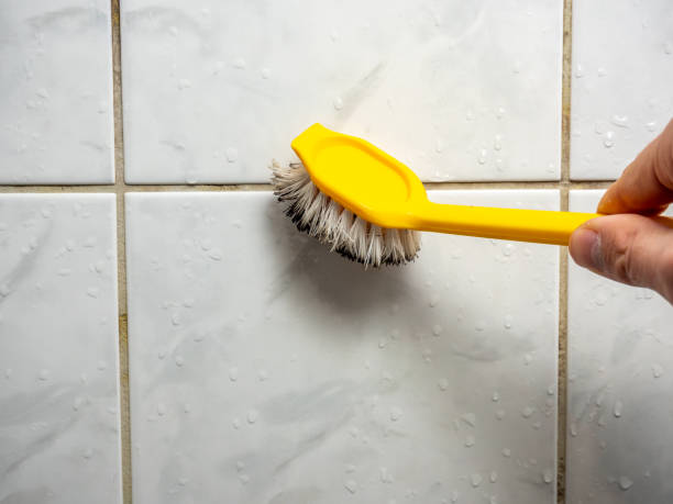 Best Mold Testing and Inspection Services in Zuni Pueblo, NM