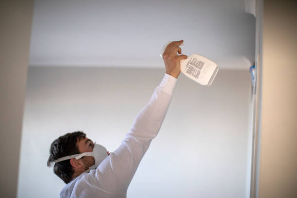 Trusted Zuni Pueblo, NM Mold Remediation Experts
